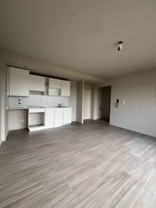 Living con cocina integrada